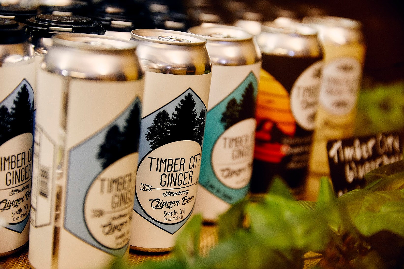 NONALCOHOLIC - Flavored Ginger Beer 16oz Can