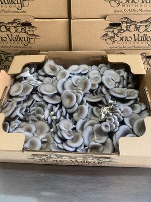 Mushrooms 1lb